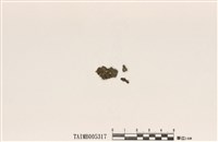 藏品(小羊角衣)的圖片
